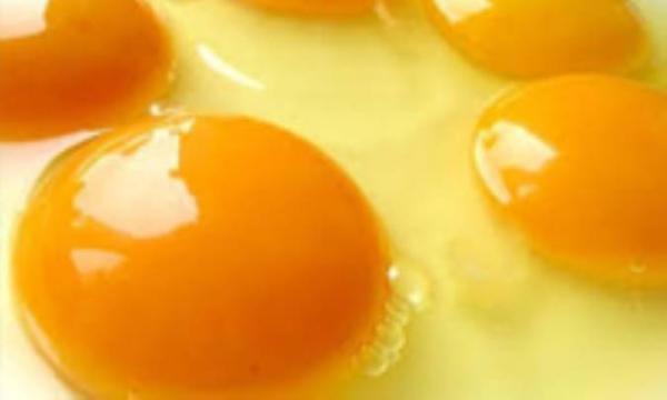 حقایق تغذیه ای زرده تخم مرغ حقایق تغذیه ای زرده تخم مرغ