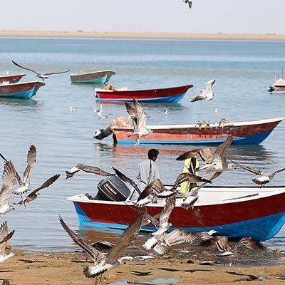 خلیج گواتر در جنوب ایران