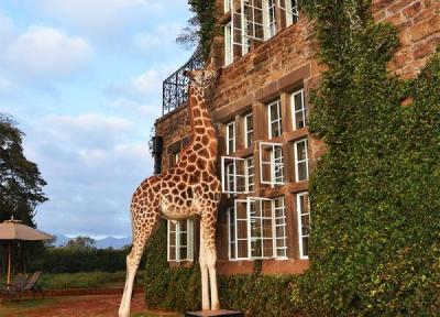 هتل مانور کنیا؛ تجربه اقامتی شگفت انگیز با زرافه ها
