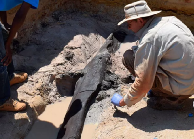 کشف قدیمی ترین سازه چوبی ساخته شده به دست انسان با قدمت نیم میلیون سال در زامبیا